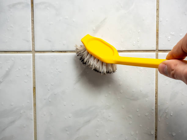 Pilot Rock, OR Mold Removal Company
