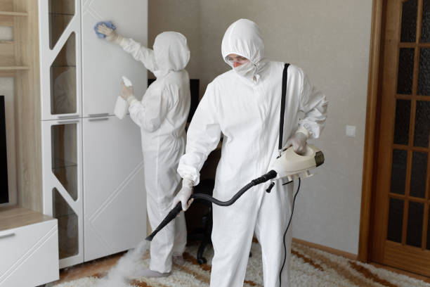 Mold Testing and Removal in Pilot Rock, OR